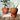 Gardening Products- Outdoor & Indoor